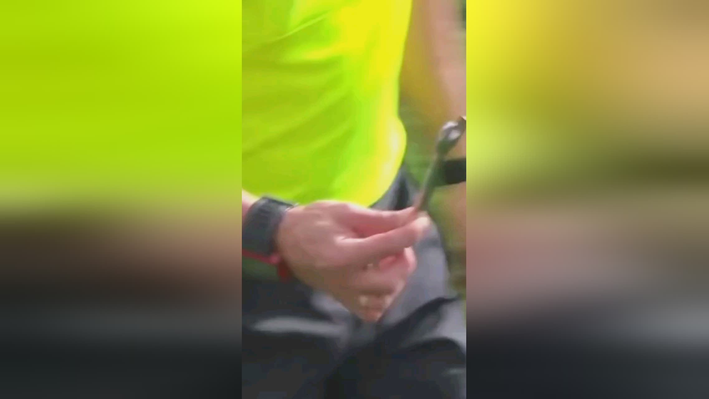 们在